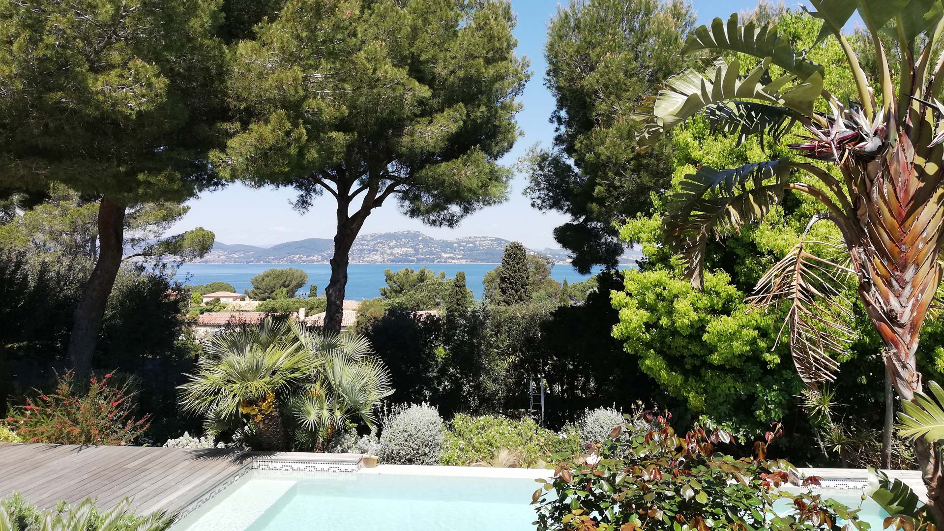 Entretien de jardin, espace vert et massif sans entretien à Toulon